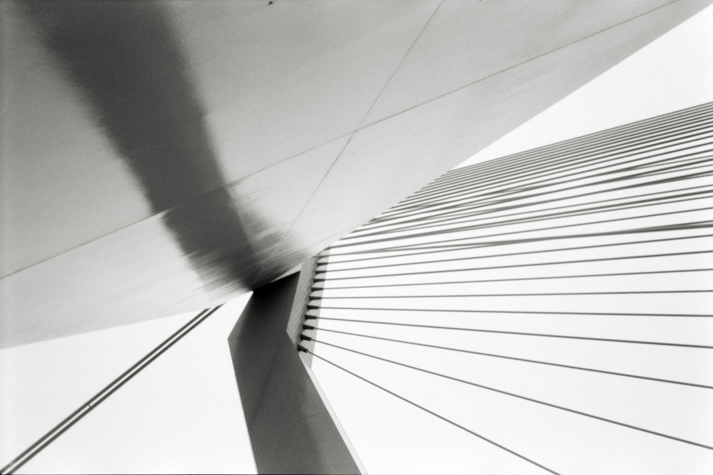 AHP F1998 05 001 sc240818 img23 NLP